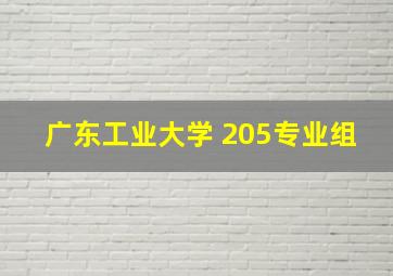 广东工业大学 205专业组